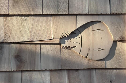 Shingle Art - Horseshoe Crab